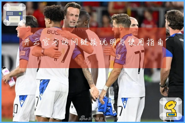 开云官方访问链接说明与使用指南